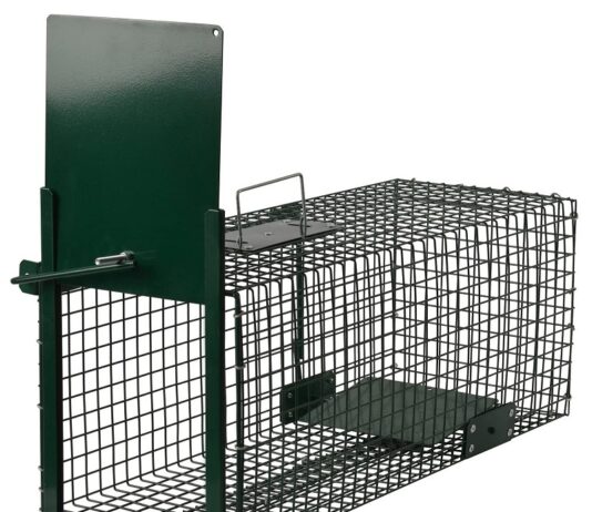 Piège à fouine : instructions et vidéo pour construire un piège efficace Piège à fouine instructions et vidéo pour construire un piège efficace