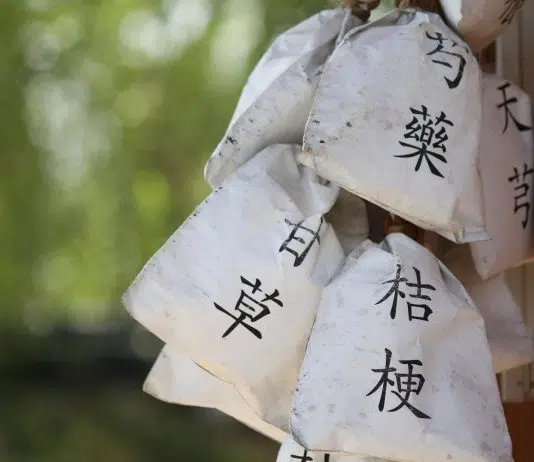 Médecine ayurvédique ou chinoise ?