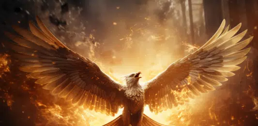 Crémation ou incinération : le corps se soulève-t-il durant le processus ?