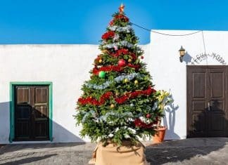 Quelle île des Canaries est la plus chaude en décembre ?