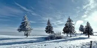 L'hivers